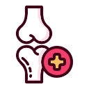 Liver Support